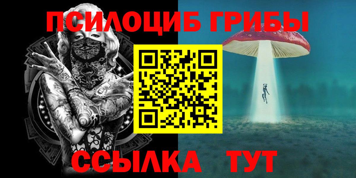Павловский Посад  Галлюциногенные грибы MAGIC MUSHROOMS  Вход с VPN 